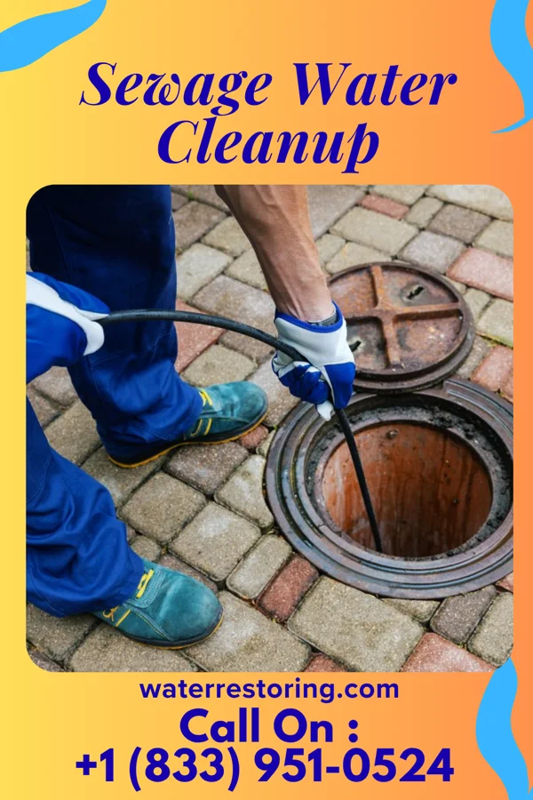 Sewage Water Cleanup in Lakeland Highlands, FL